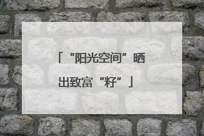 “阳光空间”晒出致富“籽”
