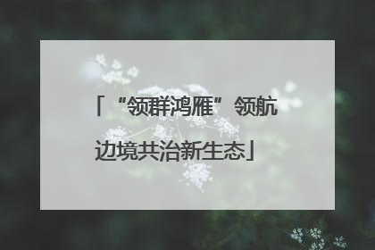 “领群鸿雁”领航边境共治新生态