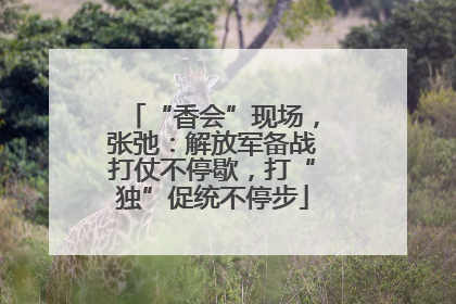“香会”现场，张弛：解放军备战打仗不停歇，打“独”促统不停步