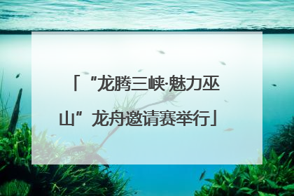 “龙腾三峡·魅力巫山”龙舟邀请赛举行