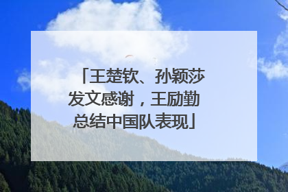 王楚钦、孙颖莎发文感谢，王励勤总结中国队表现