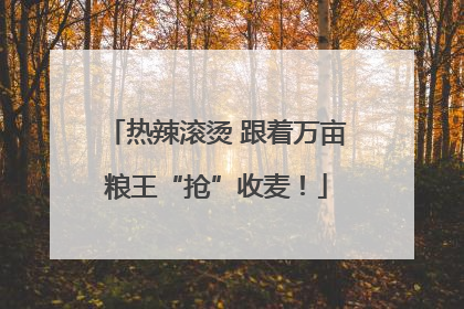 热辣滚烫 跟着万亩粮王“抢”收麦！