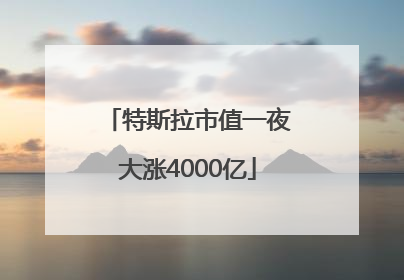 特斯拉市值一夜大涨4000亿
