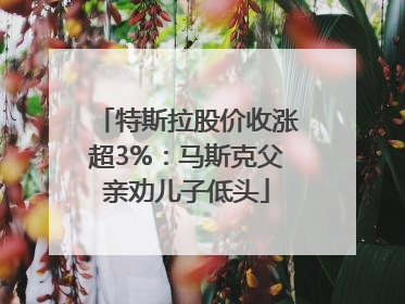 特斯拉股价收涨超3%：马斯克父亲劝儿子低头