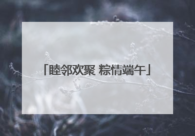 睦邻欢聚 粽情端午