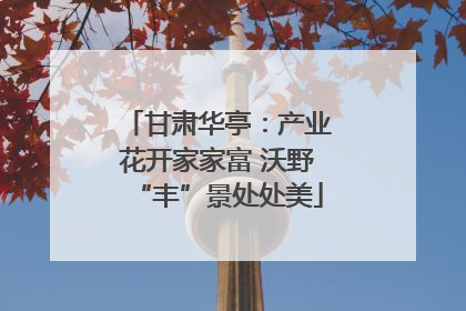 甘肃华亭：产业花开家家富 沃野“丰”景处处美
