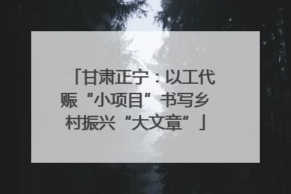 甘肃正宁：以工代赈“小项目”书写乡村振兴“大文章”