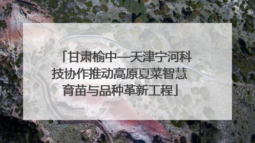 甘肃榆中—天津宁河科技协作推动高原夏菜智慧育苗与品种革新工程