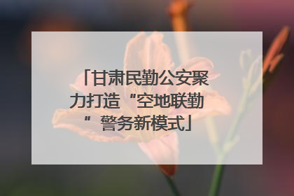 甘肃民勤公安聚力打造“空地联勤”警务新模式