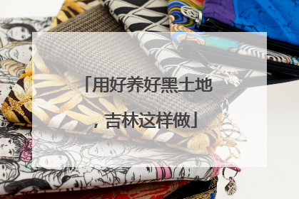 用好养好黑土地，吉林这样做