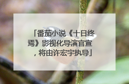 番茄小说《十日终焉》影视化导演官宣，将由许宏宇执导