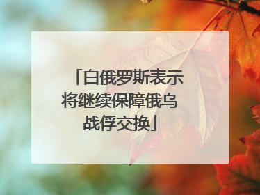 白俄罗斯表示将继续保障俄乌战俘交换