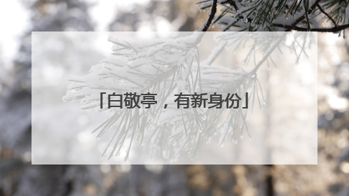 白敬亭，有新身份