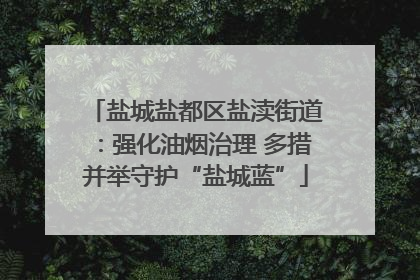 盐城盐都区盐渎街道：强化油烟治理 多措并举守护“盐城蓝”