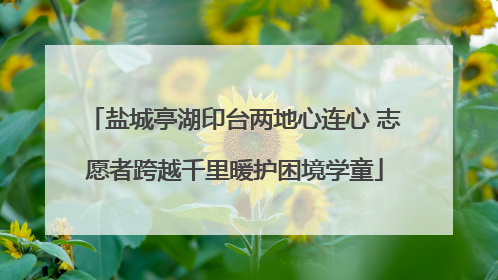 盐城亭湖印台两地心连心 志愿者跨越千里暖护困境学童