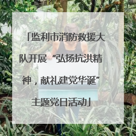 监利市消防救援大队开展“弘扬抗洪精神，献礼建党华诞”主题党日活动