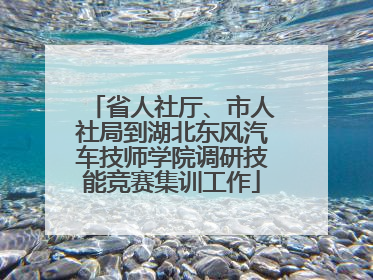省人社厅、市人社局到湖北东风汽车技师学院调研技能竞赛集训工作