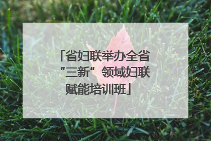 省妇联举办全省“三新”领域妇联赋能培训班