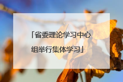 省委理论学习中心组举行集体学习