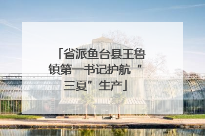 省派鱼台县王鲁镇第一书记护航“三夏”生产
