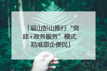 眉山彭山推行“党建+政务服务”模式 精准惠企便民