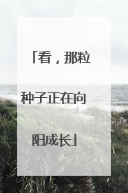 看，那粒种子正在向阳成长