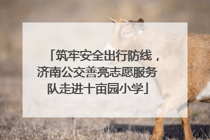 筑牢安全出行防线，济南公交善亮志愿服务队走进十亩园小学