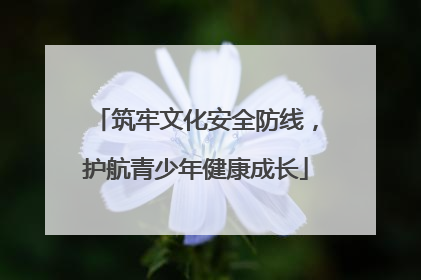 筑牢文化安全防线，护航青少年健康成长