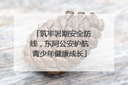 筑牢暑期安全防线，东阿公安护航青少年健康成长