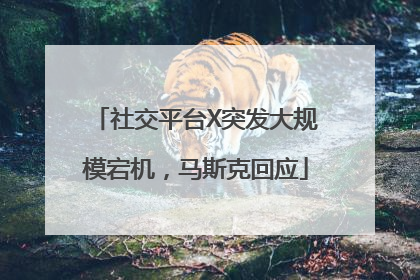 社交平台X突发大规模宕机，马斯克回应