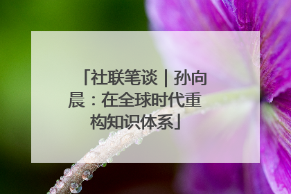 社联笔谈｜孙向晨：在全球时代重构知识体系
