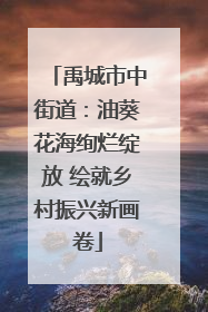 禹城市中街道：油葵花海绚烂绽放 绘就乡村振兴新画卷