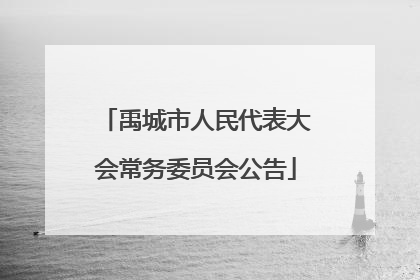 禹城市人民代表大会常务委员会公告