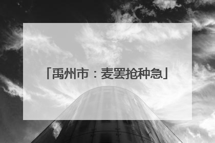 禹州市：麦罢抢种急