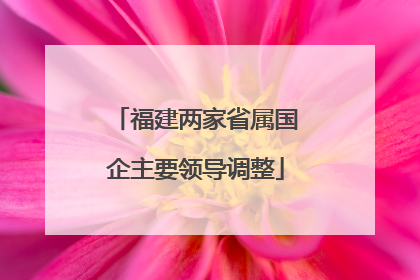 福建两家省属国企主要领导调整