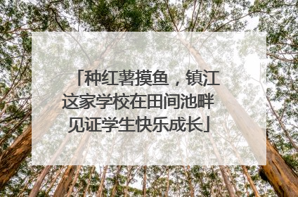 种红薯摸鱼，镇江这家学校在田间池畔见证学生快乐成长