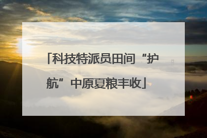 科技特派员田间“护航”中原夏粮丰收