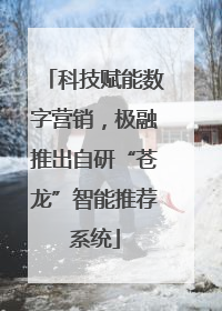 科技赋能数字营销，极融推出自研“苍龙”智能推荐系统