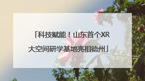 科技赋能！山东首个XR大空间研学基地亮相德州