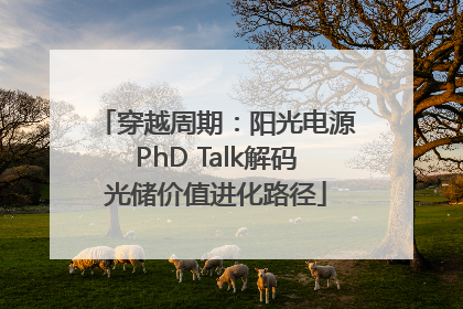 穿越周期：阳光电源PhD Talk解码光储价值进化路径