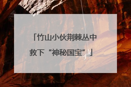 竹山小伙荆棘丛中救下“神秘国宝”