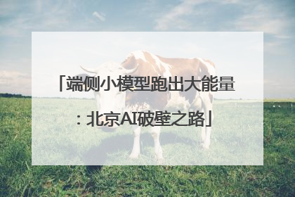 端侧小模型跑出大能量：北京AI破壁之路