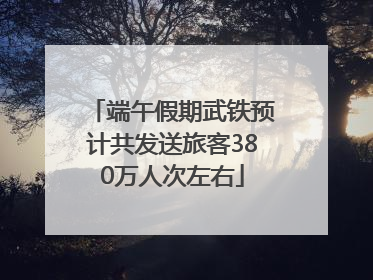 端午假期武铁预计共发送旅客380万人次左右