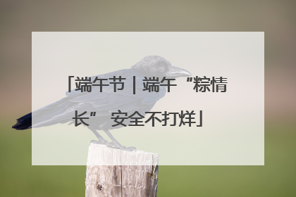 端午节｜端午“粽情长” 安全不打烊