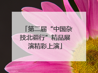 第二届“中国杂技北疆行”精品展演精彩上演