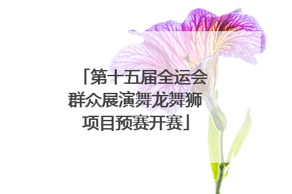 第十五届全运会群众展演舞龙舞狮项目预赛开赛