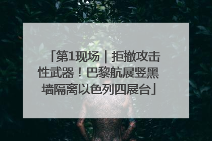 第1现场｜拒撤攻击性武器！巴黎航展竖黑墙隔离以色列四展台