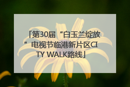 第30届“白玉兰绽放”电视节临港新片区CITY WALK路线