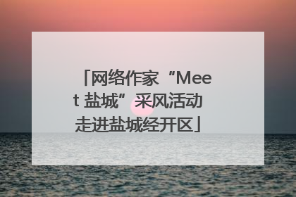 网络作家“Meet 盐城”采风活动走进盐城经开区