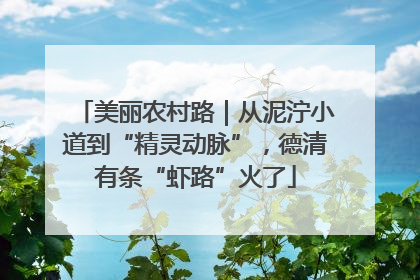 美丽农村路｜从泥泞小道到“精灵动脉”，德清有条“虾路”火了